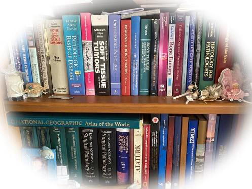 Yumuşak doku tümörleri