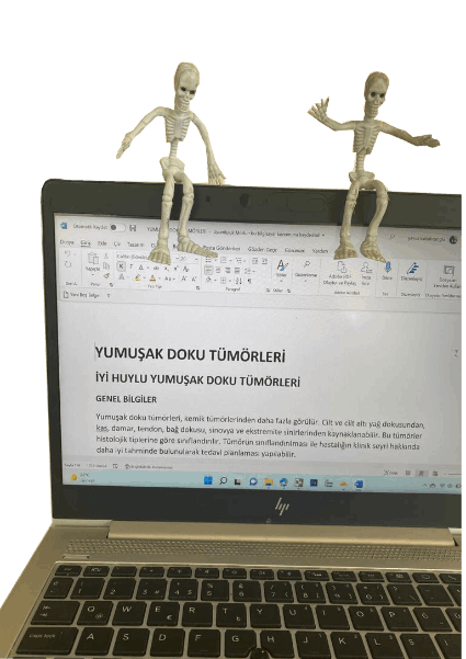 Yumuşak doku tümörleri